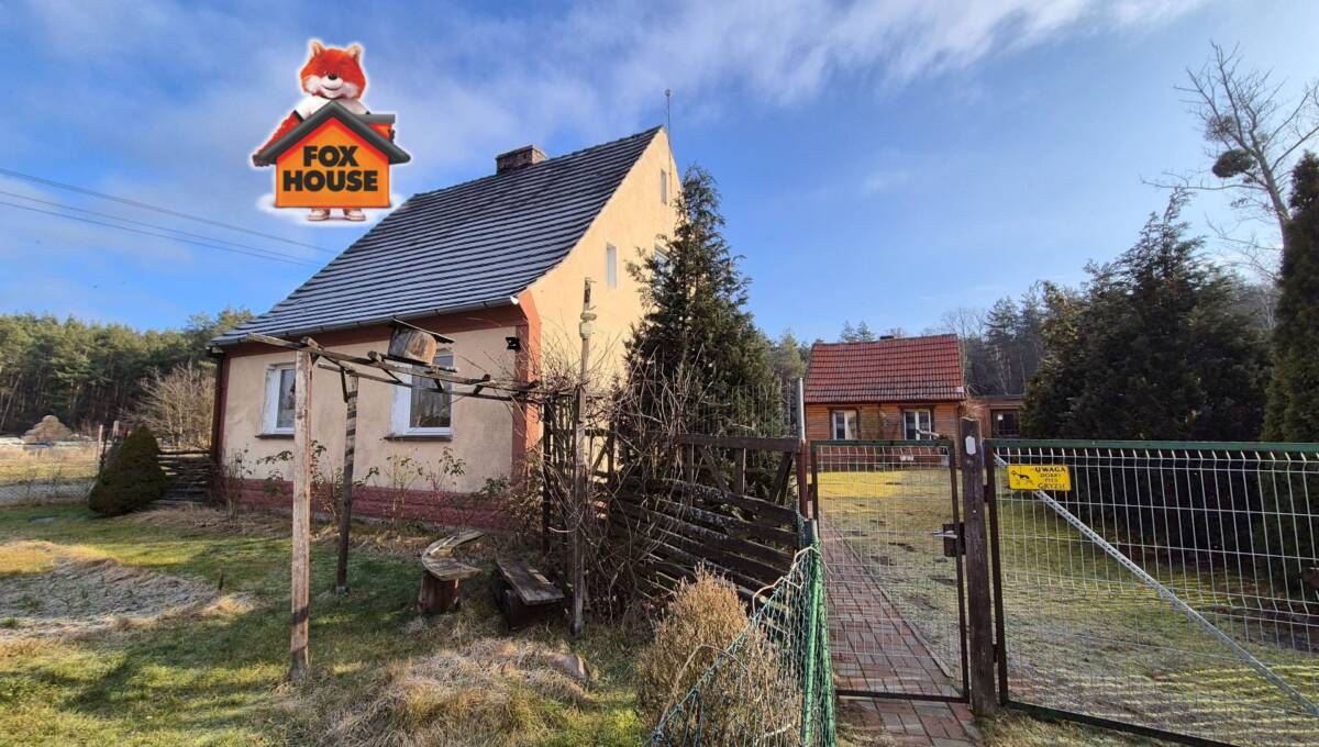 05-02-2025 - Stara Oleszna - 01+