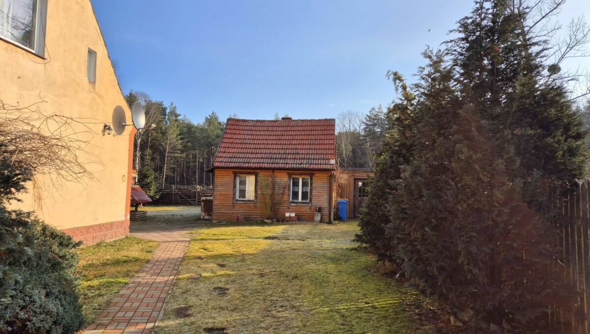 05-02-2025 - Stara Oleszna - 02