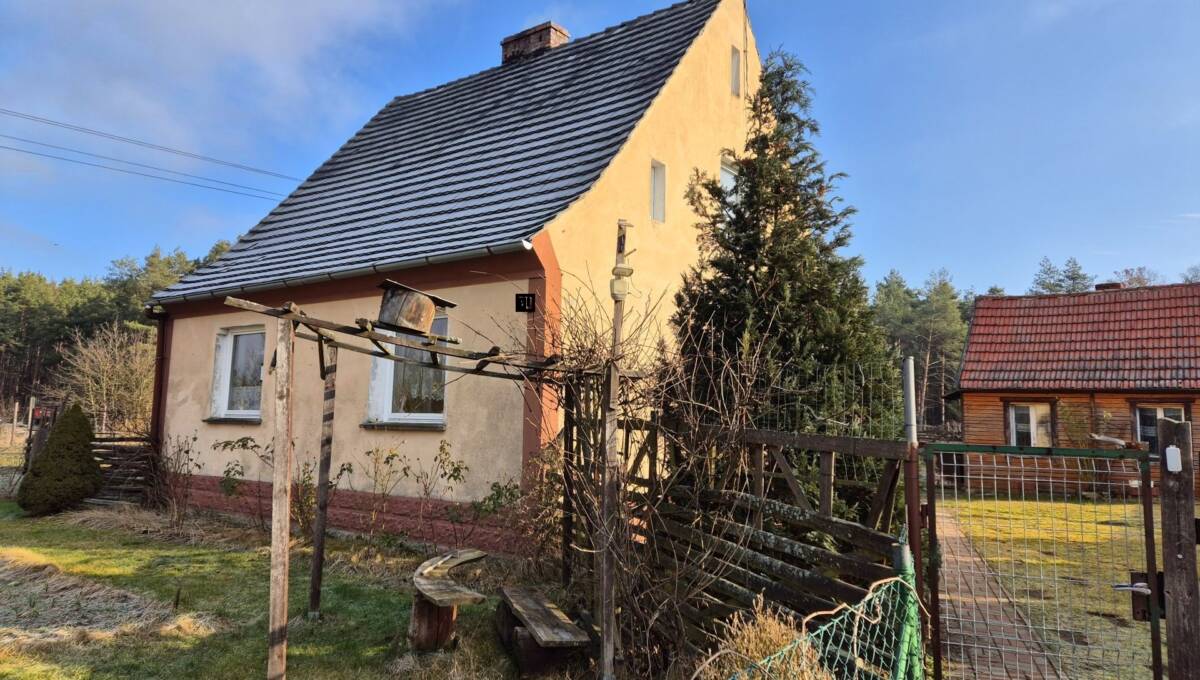 05-02-2025 - Stara Oleszna - 19