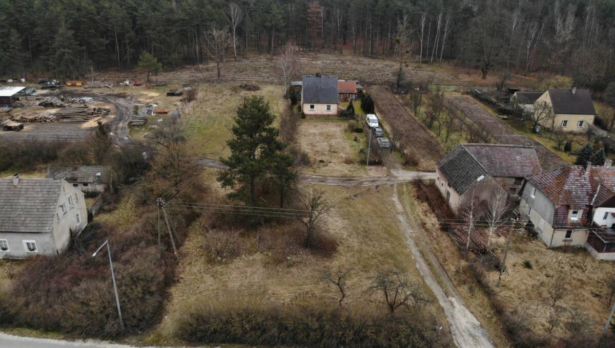 05-02-2025 - Stara Oleszna - 28