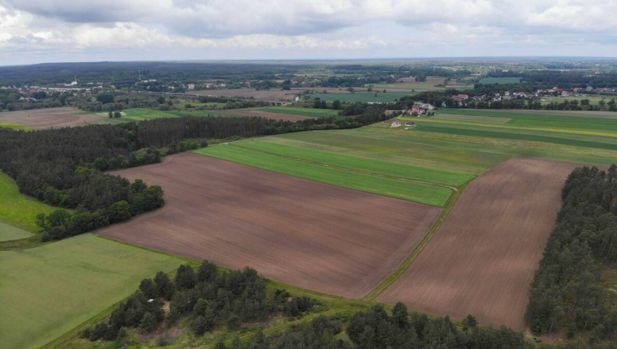 03-06-2025 - Kierżno - 04