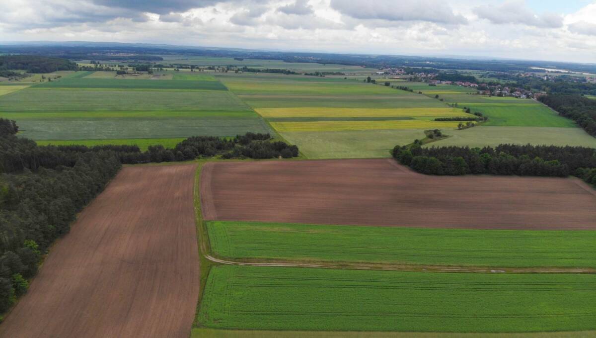 03-06-2025 - Kierżno - 08