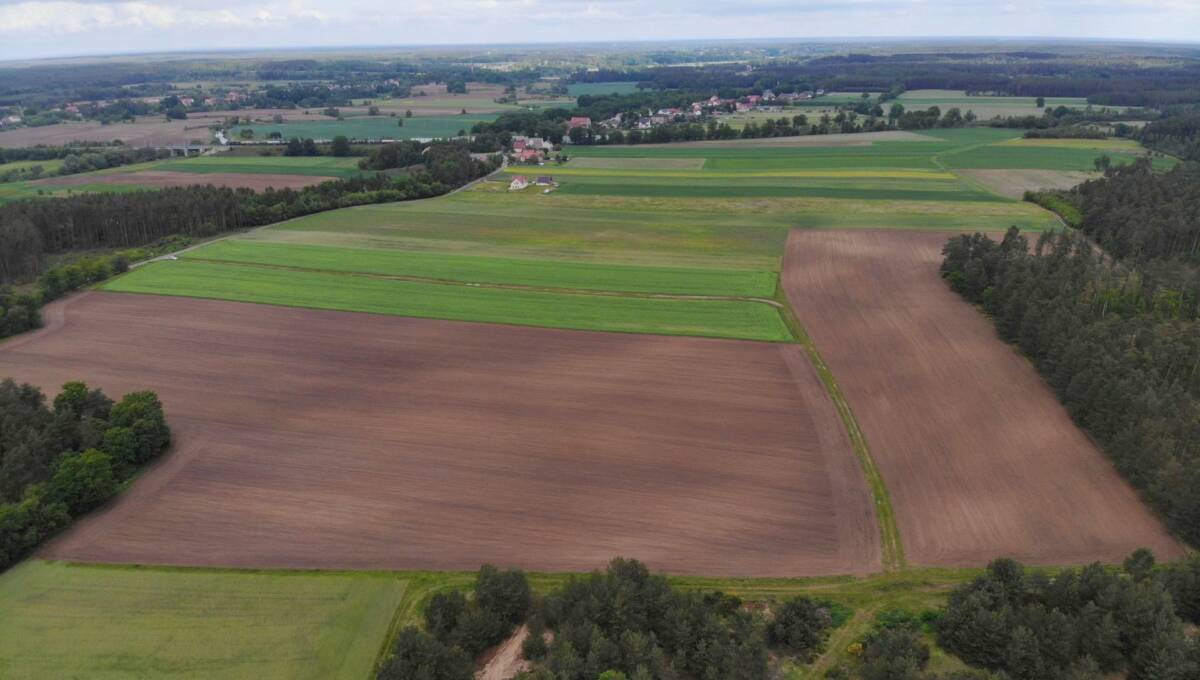 03-06-2025 - Kierżno - 09