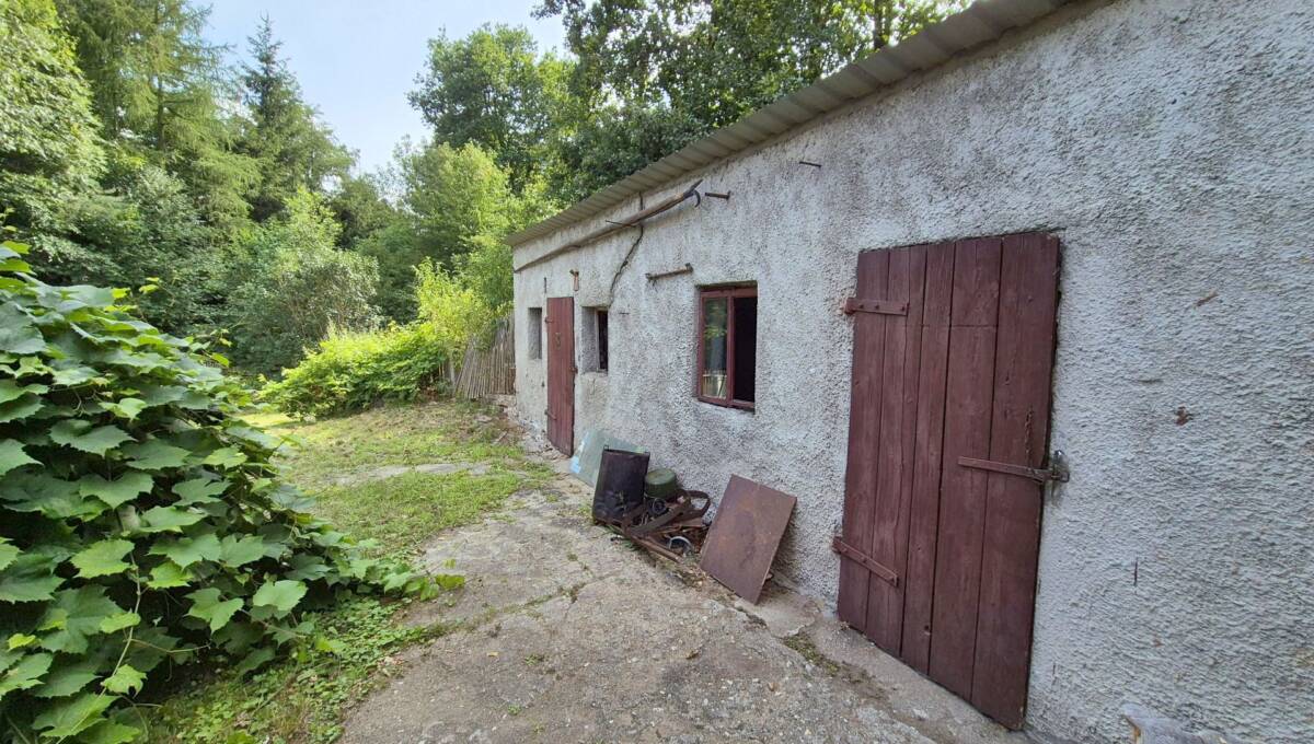 30-07-2025 - Milików - 24