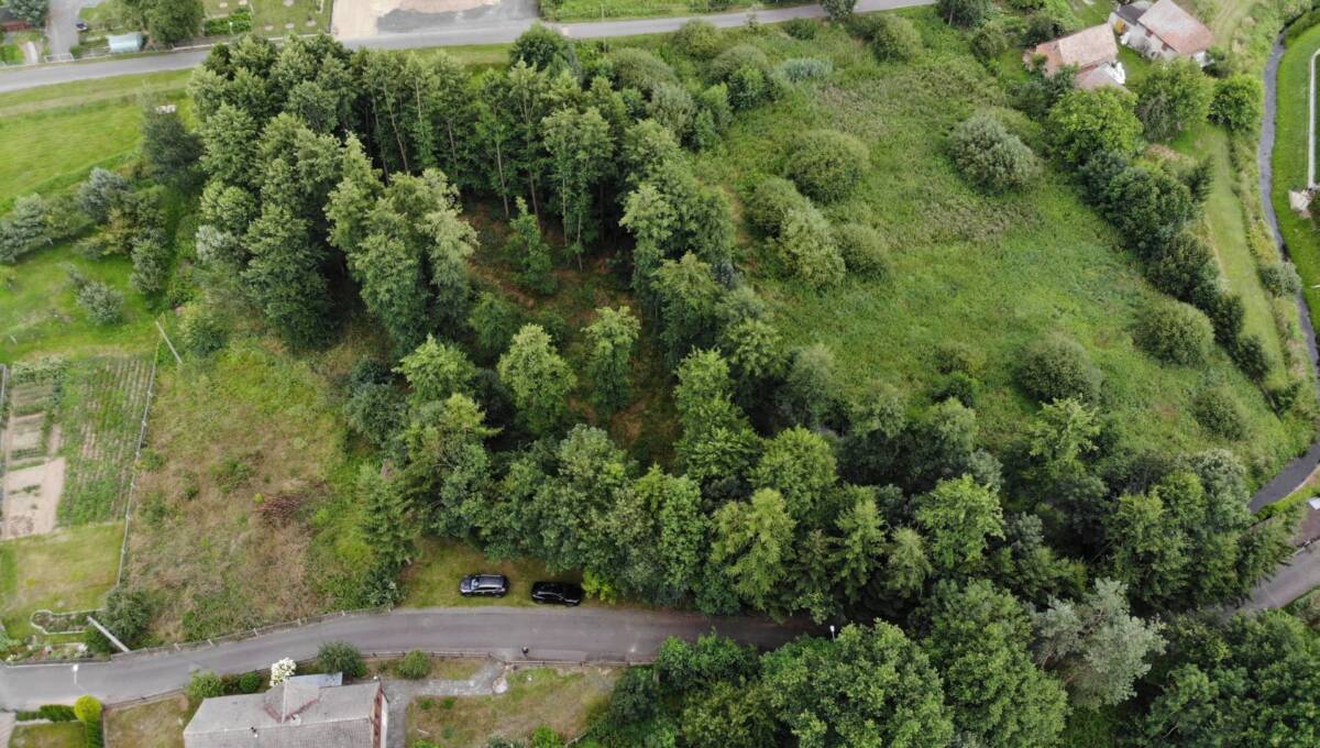 30-07-2025 - Milików - 29