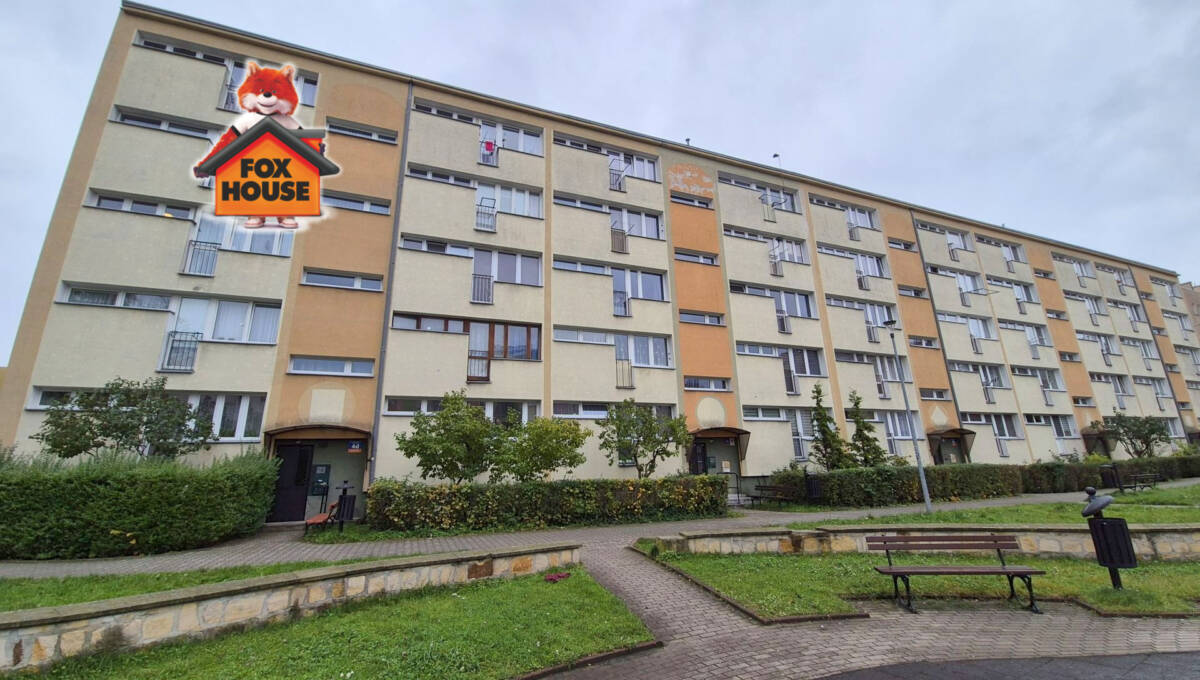 21-10-2025 - Polna - wynajem - 01+