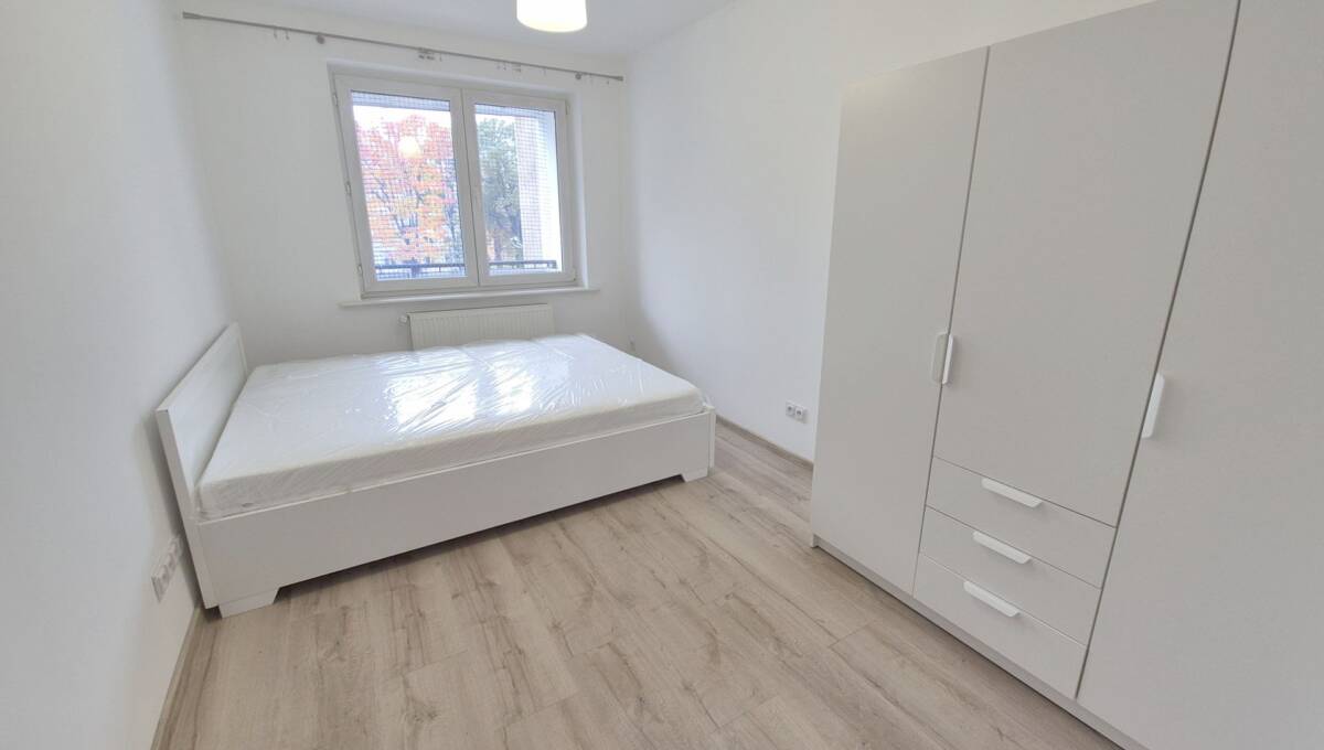 29-10-2025 - Tamka - 12