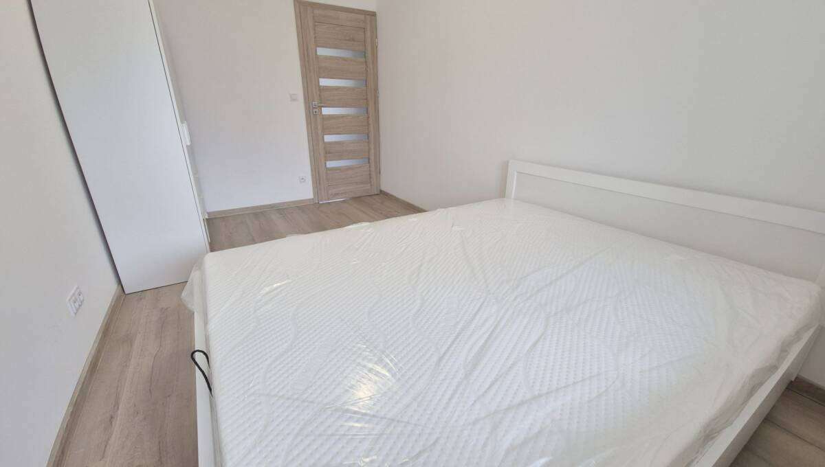 29-10-2025 - Tamka - 13