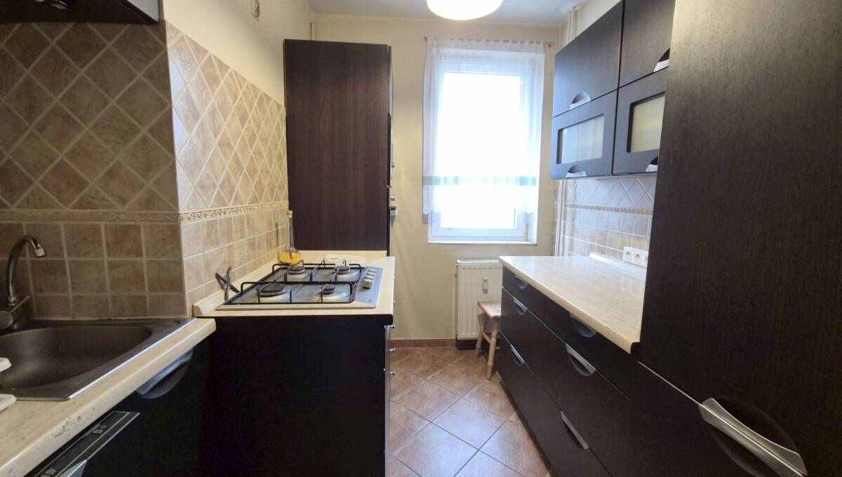 24-11-2025 - Lwówek - 11