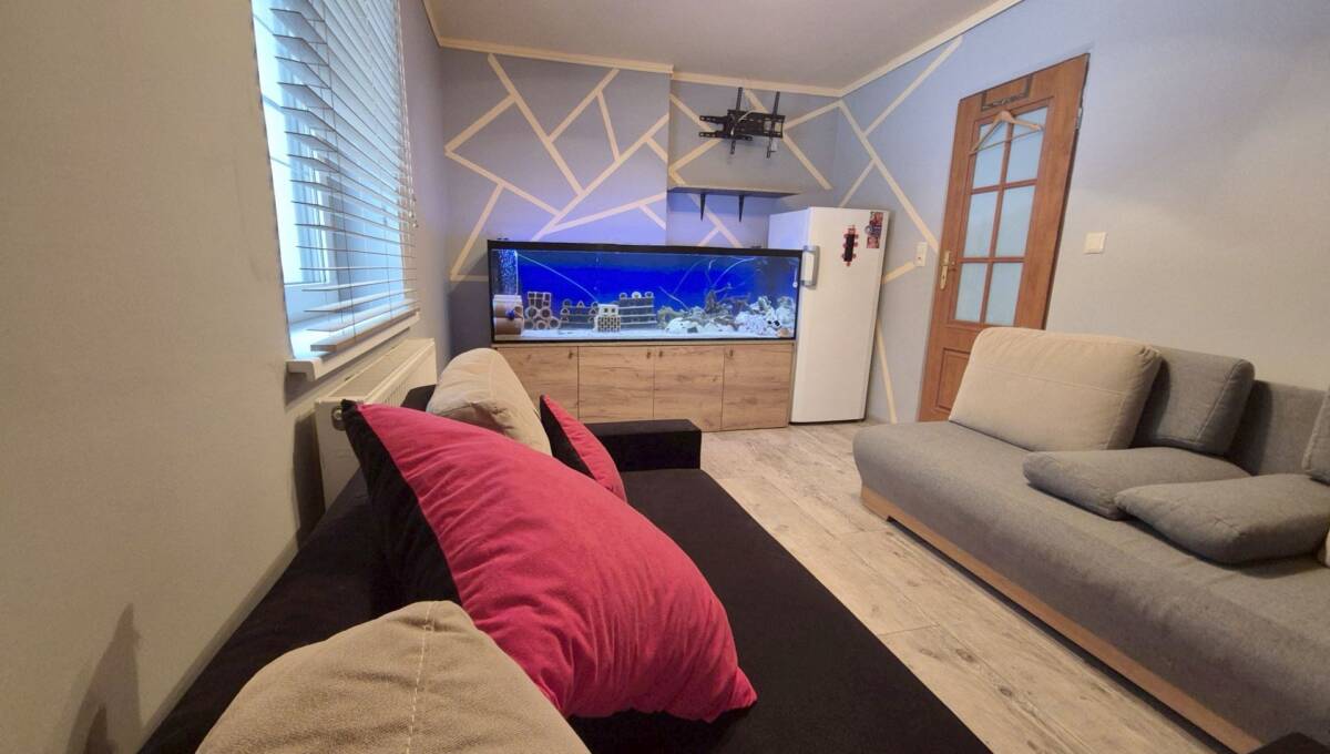 13-01-2026 - Zebrzydowa - 15