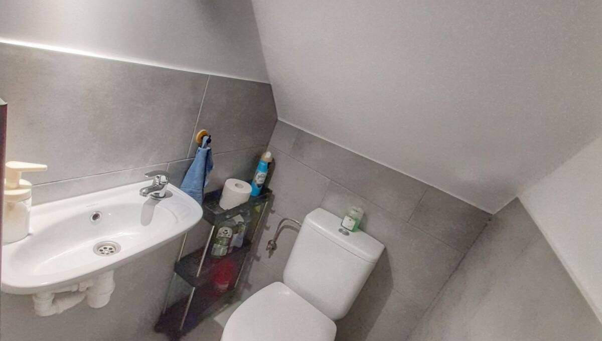 26 -01-2026 - Gościszów - 11