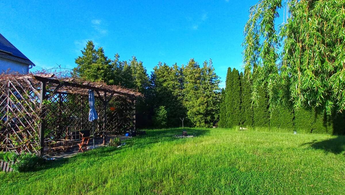 26 -01-2026 - Gościszów - 18