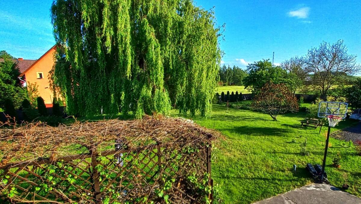 26 -01-2026 - Gościszów - 20