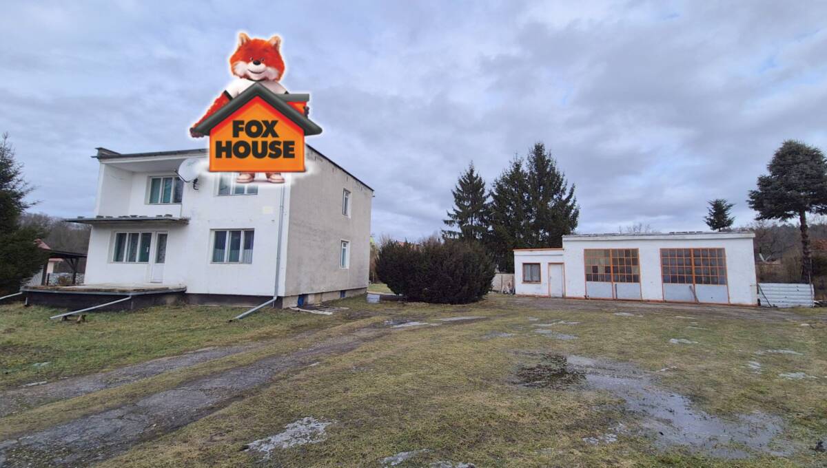 10-02-2026 - Dąbrowa Bolesławiecka - 01+(1)