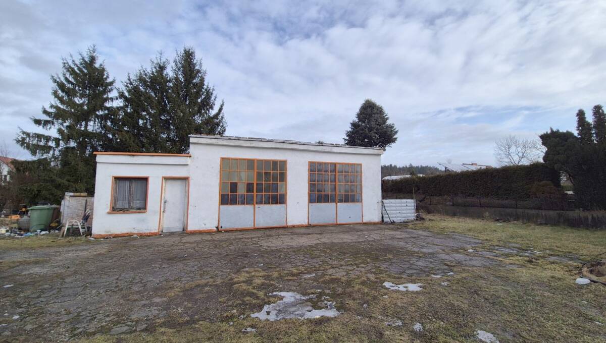 10-02-2026 - Dąbrowa Bolesławiecka - 02