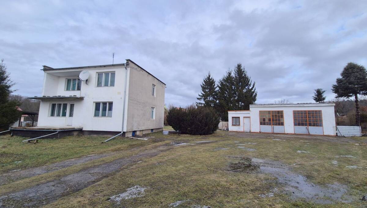 10-02-2026 - Dąbrowa Bolesławiecka - 16