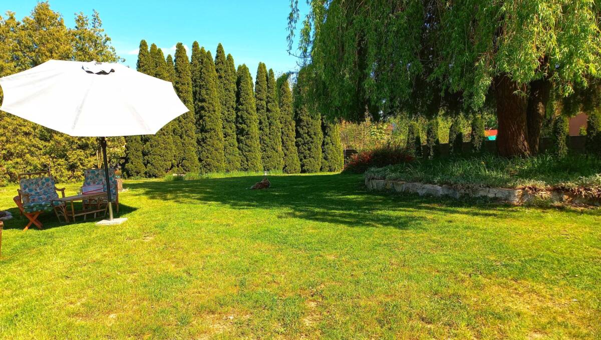 26 -01-2026 - Gościszów - 19