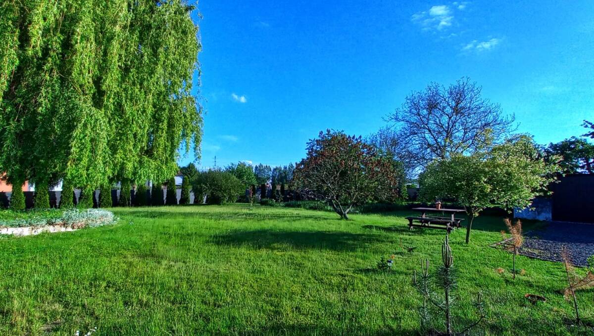 26 -01-2026 - Gościszów - 21