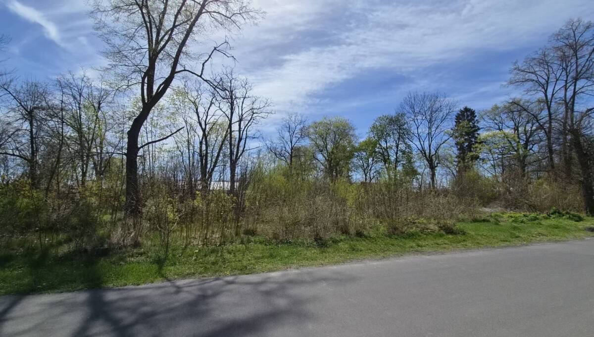 29-04-2026 - działka Świętoszów - 03