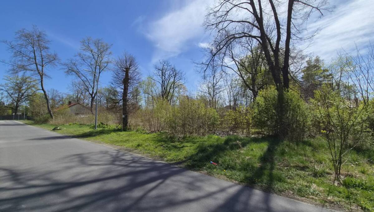 29-04-2026 - działka Świętoszów - 04