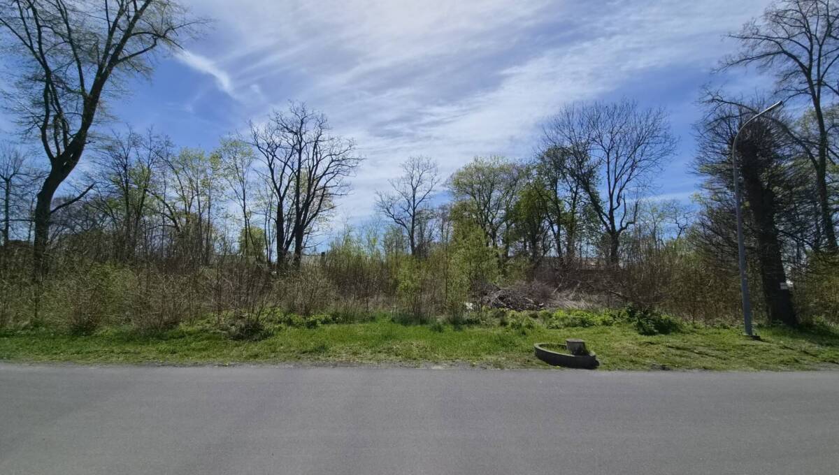 29-04-2026 - działka Świętoszów - 05