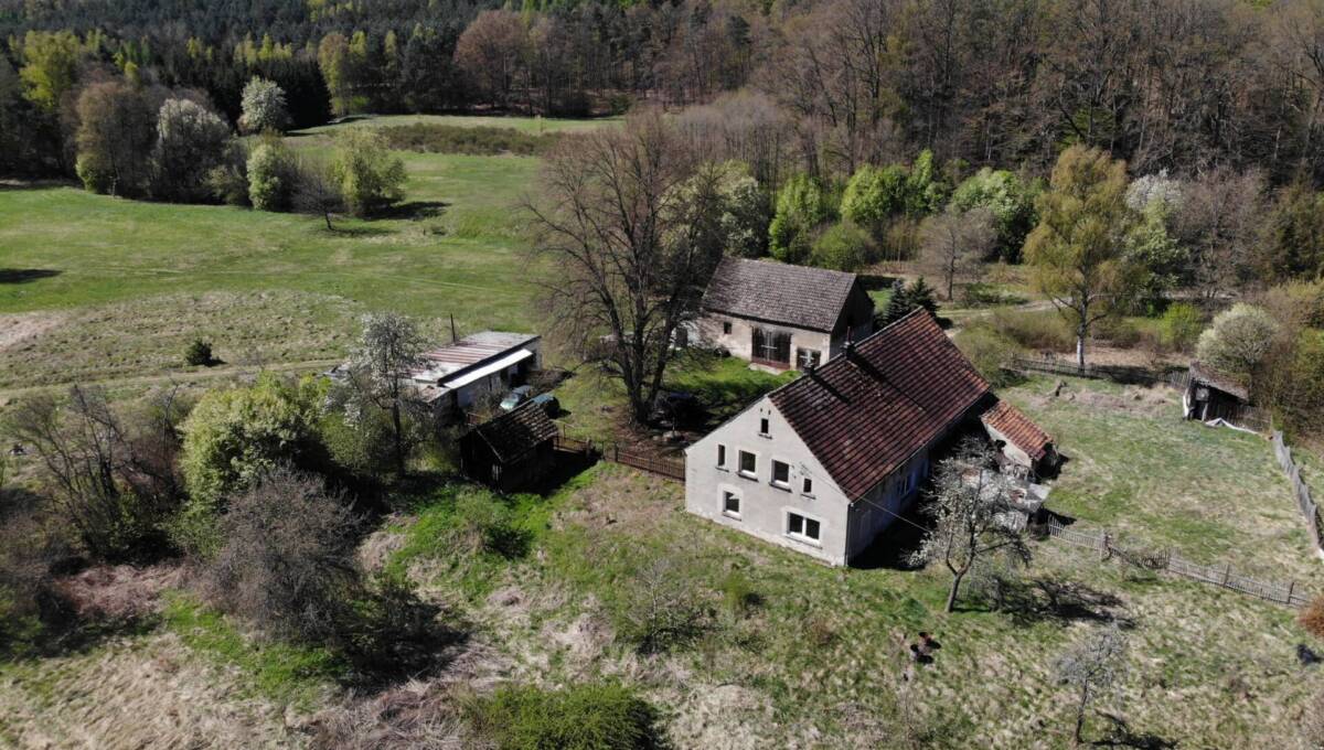 29-04-2026 - leśniczówka - 01