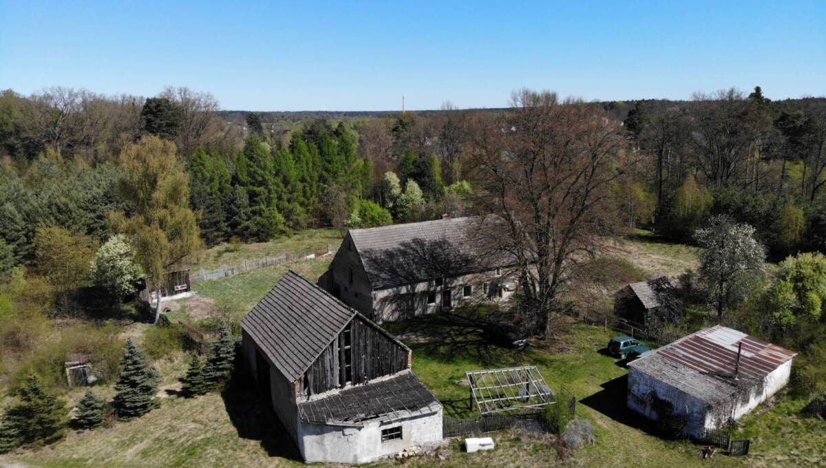 29-04-2026 - leśniczówka - 02