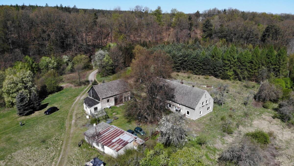 29-04-2026 - leśniczówka - 03