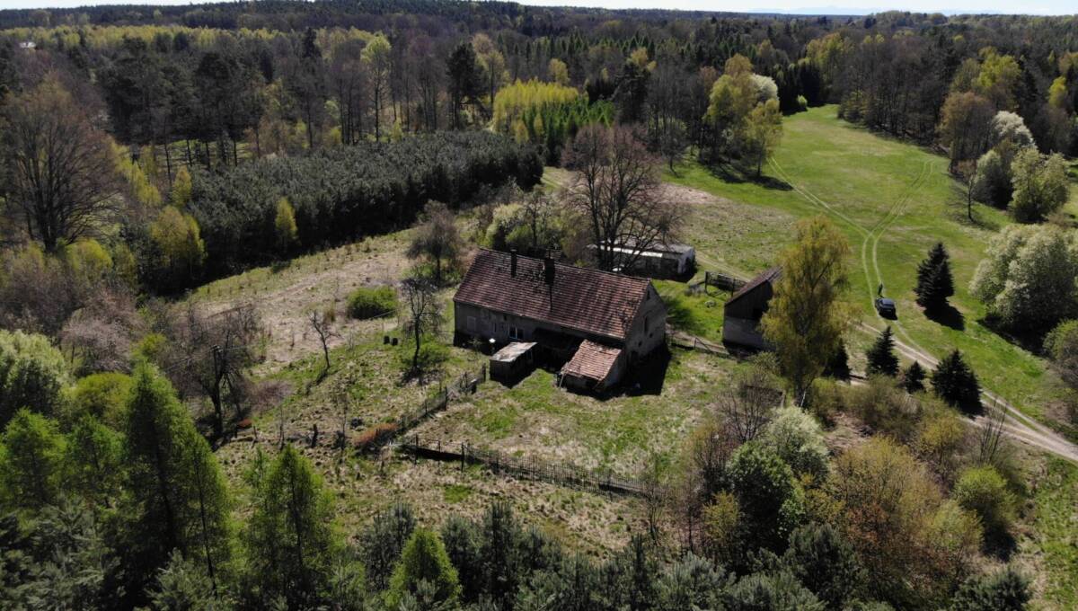 29-04-2026 - leśniczówka - 04