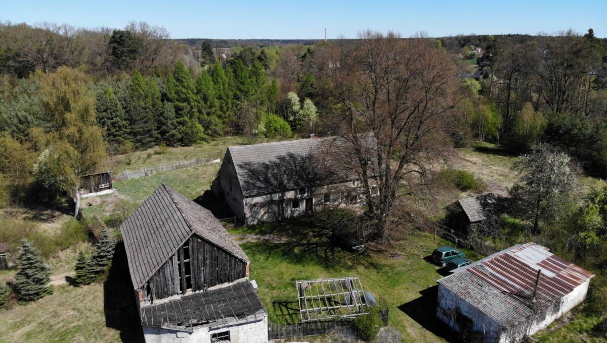 29-04-2026 - leśniczówka - 05