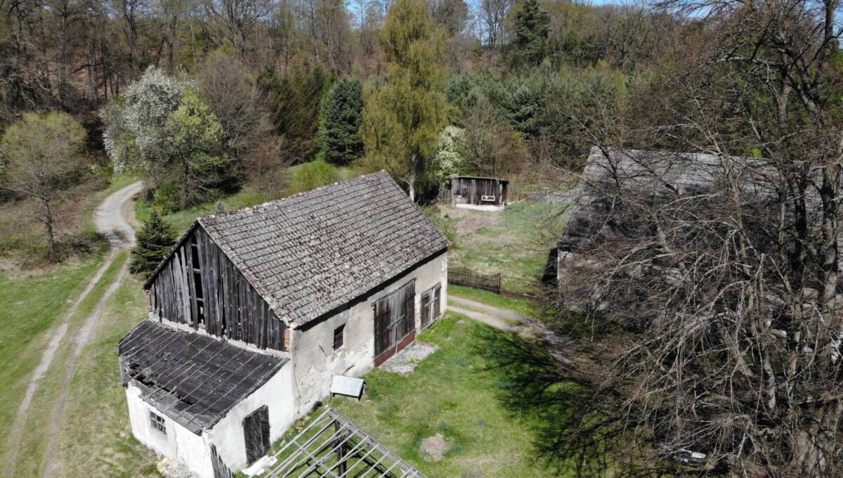 29-04-2026 - leśniczówka - 06