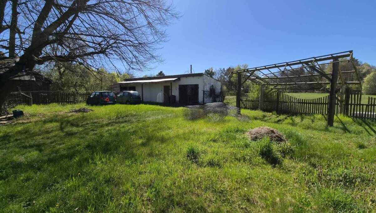 29-04-2026 - leśniczówka - 08