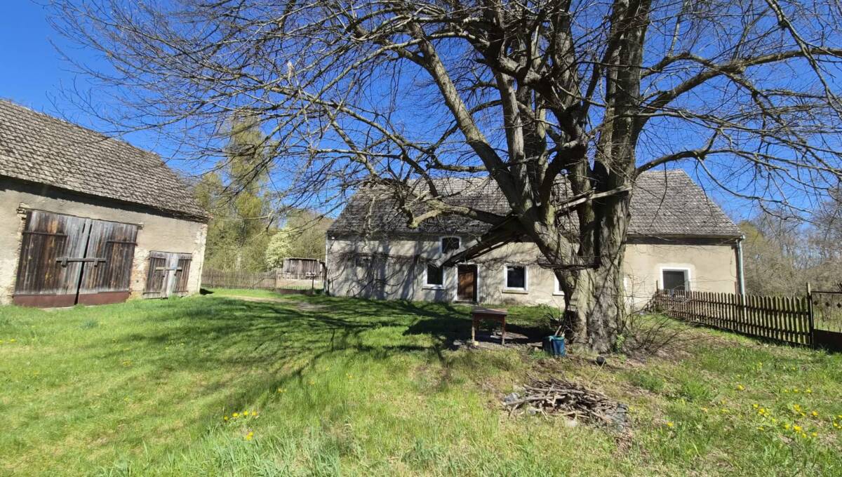 29-04-2026 - leśniczówka - 09