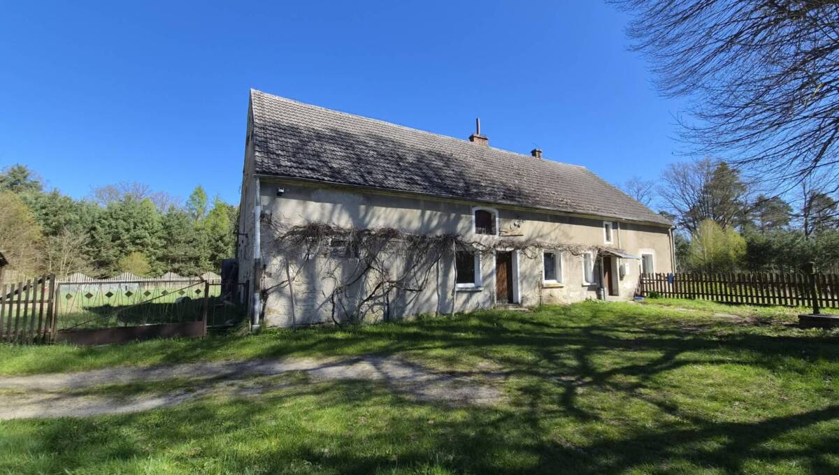 29-04-2026 - leśniczówka - 10