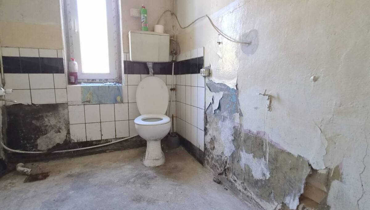 29-04-2026 - leśniczówka - 14