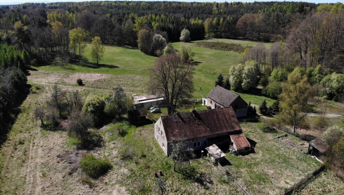 29-04-2026 - leśniczówka - 21