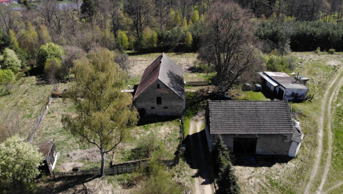 29-04-2026 - leśniczówka - 22