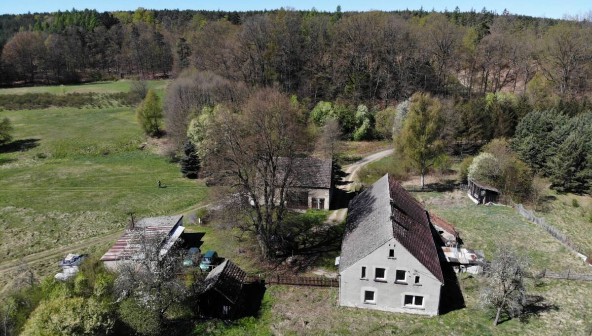 29-04-2026 - leśniczówka - 23