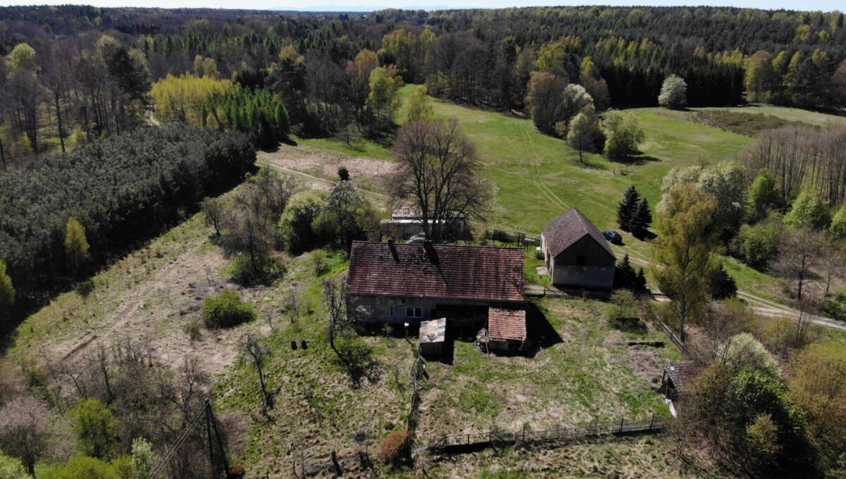 29-04-2026 - leśniczówka - 24