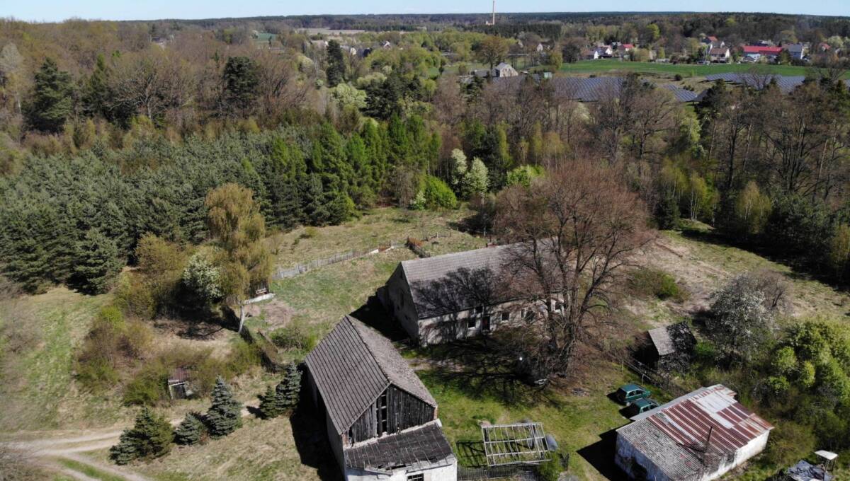 29-04-2026 - leśniczówka - 25